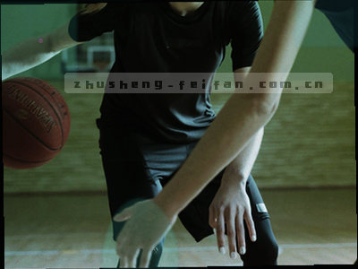 订阅积分榜对阵日程的简化图表，展示积分排名与订阅徽标